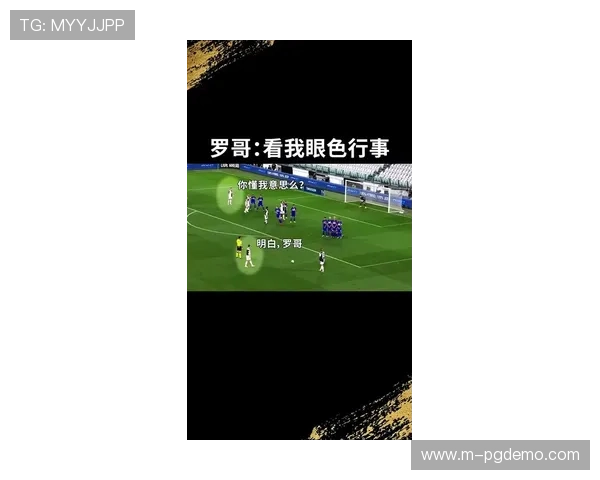 PG体育平台有哪些值得信赖的选择以及它们的主要特色介绍