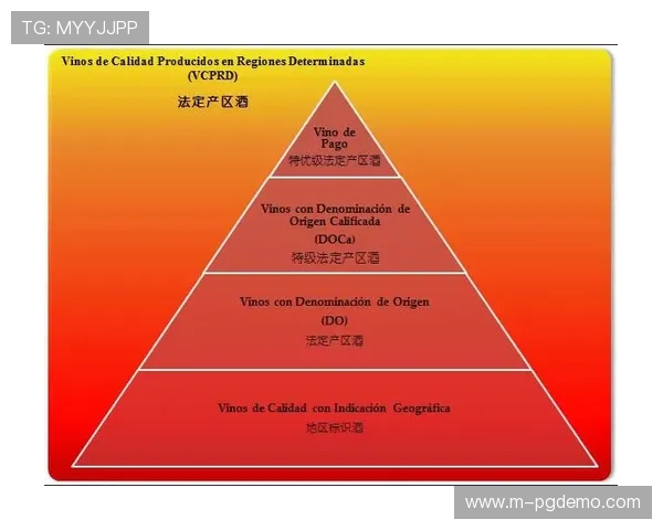 全面解析PG游戏分级制度对游戏内容健康发展的积极影响 全面解析PG游戏分级制度对游戏内容健康发展的积极影响